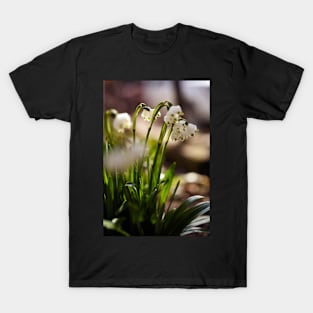 Snowdrop flowers in the forest T-Shirt